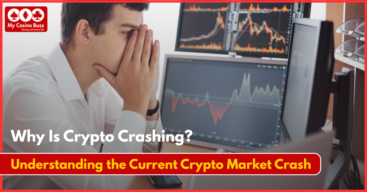 Why Is Crypto Crashing
